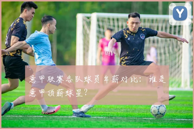 意甲联赛各队球员年薪对比：谁是意甲顶薪球星？