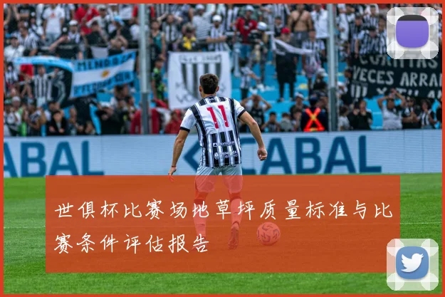 世俱杯比赛场地草坪质量标准与比赛条件评估报告
