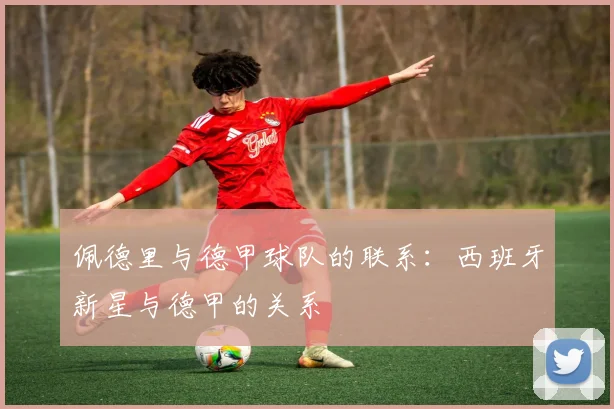 佩德里与德甲球队的联系：西班牙新星与德甲的关系