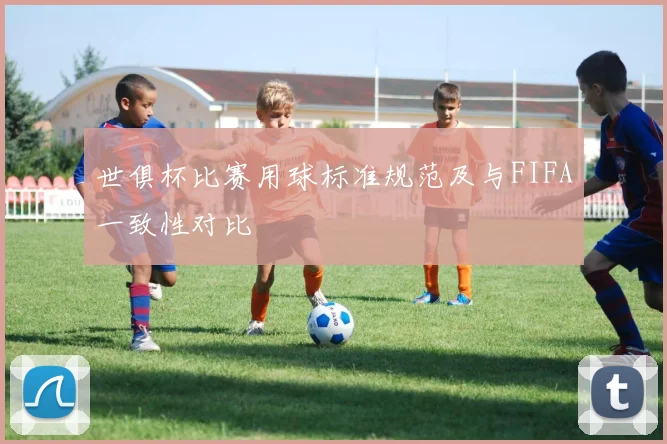 世俱杯比赛用球标准规范及与FIFA一致性对比