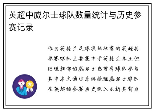 英超中威尔士球队数量统计与历史参赛记录
